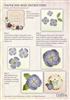 Dog Rose Instruction Sheet