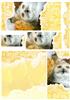 Lemon Owl