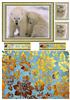 Polar Bears