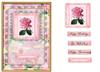 A5 card (Pink Rose No 2)