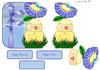 cornflower chick