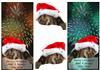 2 DL cards(Merry Christmas Happy New Year)