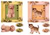 2 Squared card( Dog or Cat No2)