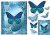 pretty flutter quick card