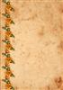 Orange Poppy Backing Paper