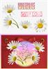 Daisy plc