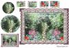 Nature's framed garden