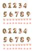 Number Set Wooden effect with roses