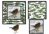 Robin holly square xmas - 360 dpi