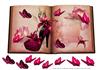 jh_fushia_book_shoe