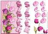 OVER THE SIDE CARD tulips for sister
