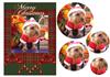 Little dog as santa card front