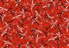 Simple swirl red-DWJ