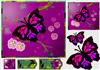 butterfly dream 2
