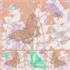 butterfly trails selection sheet