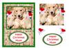 puppies - Happy Christmas Mum!