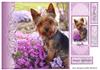 In the Flowers 8x8 & Bookmark