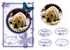 A5 card(Dog No 3b)