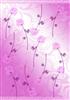 Pink rose