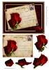 Blank Red Rose Post Card
