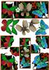 Autumn Keepsake Flutter Stacker Selection