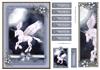 Pegasus Card Front 