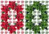 poinsettia duo backgrounds - 360 DPI 