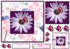 pretty flower quick card and toppers