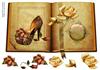 Diva shoes antique rose book