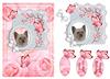 Butterflies (with cat No 1)