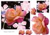a delicate rose topper