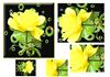 yellow rose pyramid