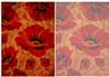 Vintage Poppy Backgrounds