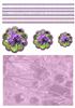 Violet Scallop