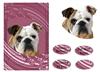 Dog card (Thinking of You No1)
