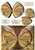 butterfly plc