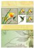 Hummingbird