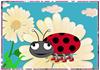 little lady bug