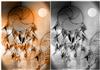 Dreamcatcher Aged Backgrounds