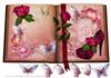 cerise shoes and roses book topper