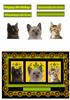 A5 Landscape (Cats No 1)