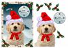 santa puppy happy christmas A5 topper