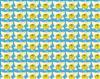 Daffodil Background Paper