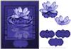 Blue water lilly Thinking of You