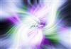 brilliant light flares