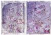 Musical Notes & Roses Backgrounds