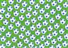 footballs on grass backing