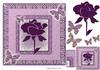 feature rose card