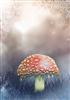 winter mushroom background