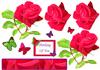 Rose flutter